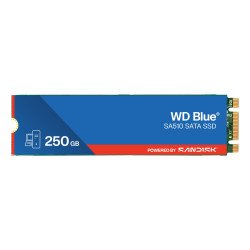 Blue SA510 M.2