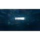 SSD PCIE G4 M.2 NVME 1TB/SNV3S/1000G KINGSTON