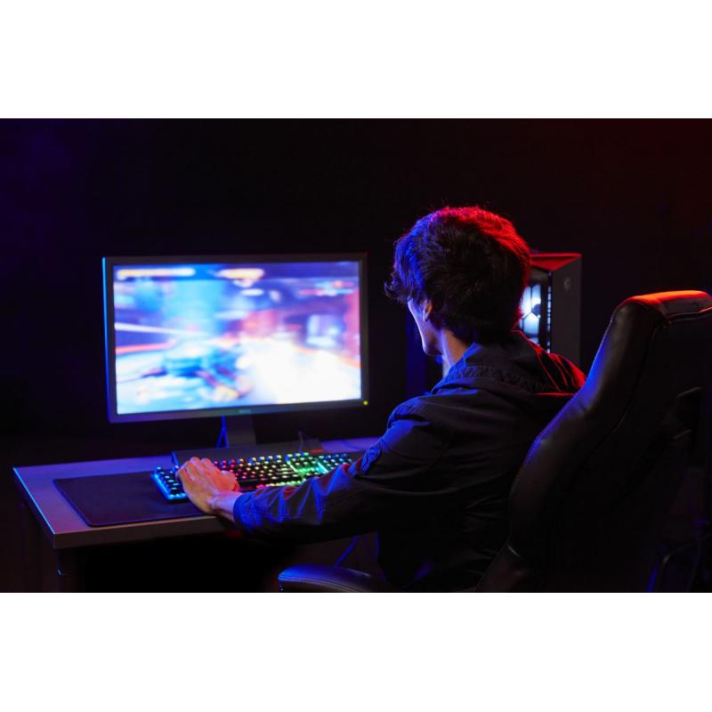 MEMORY DIMM 16GB DDR5-5600/KF556C40BB-16 KINGSTON