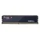 MEMORY DIMM 24GB DDR5-5200/F5-5200J4040A24GX1-FX5 G.SKILL
