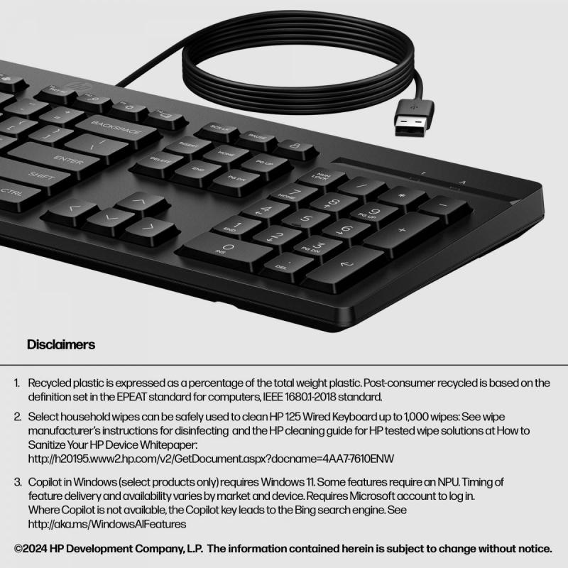 KEYBOARD USB 125/G2 AY2Y7AA HP KEYBOARD USB 125/G2 AY2Y7AA HP